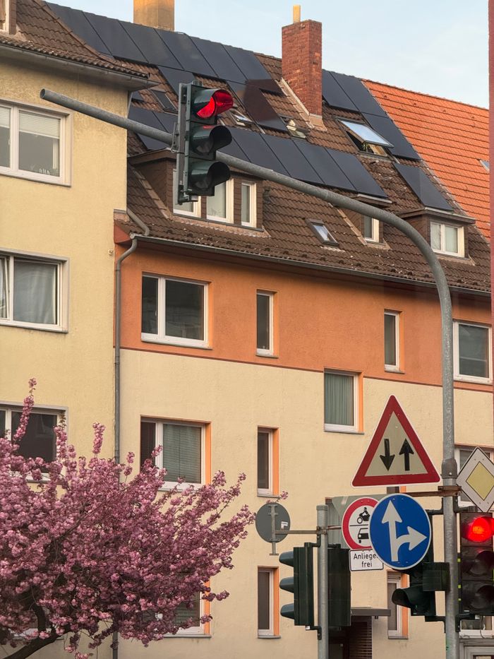 The Art of Drawing Readers In: Your attractive post title goes here Colorful urban scene featuring traffic lights and a blooming tree in front of residential buildings.